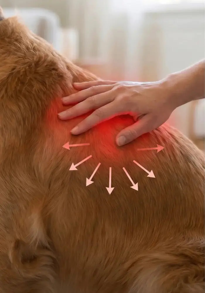 SleepZee InfraWag™ Red Light Therapy