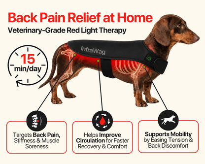 SleepZee InfraWag™ Red Light Therapy